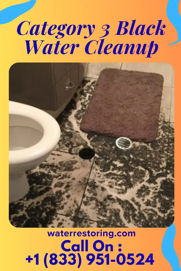 Category 3 Black Water Cleanup in Brainards, NJ
