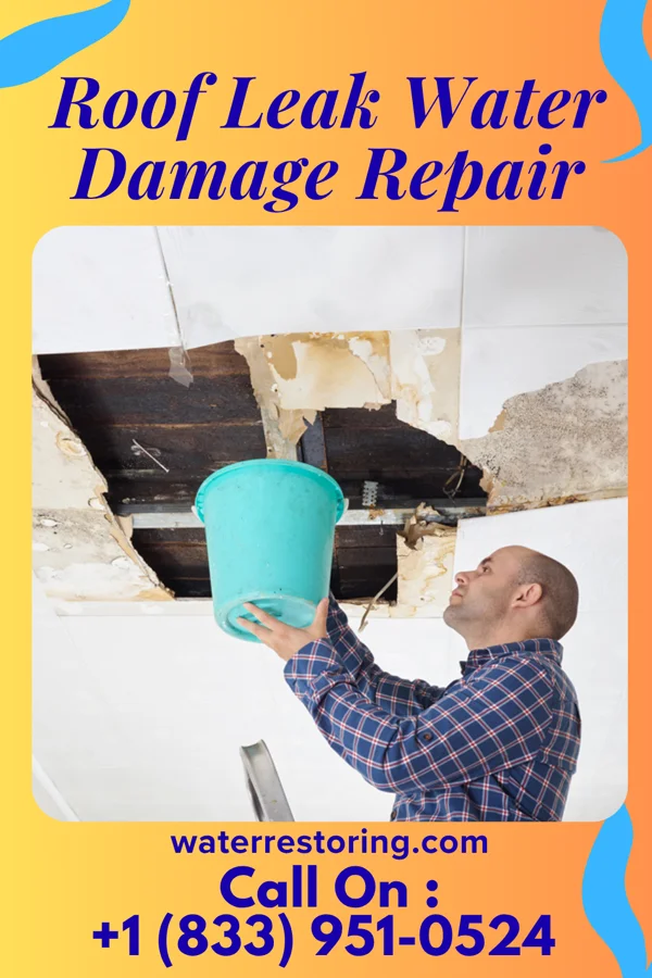 Roof Leak Water Damage Repair in Brainards, NJ