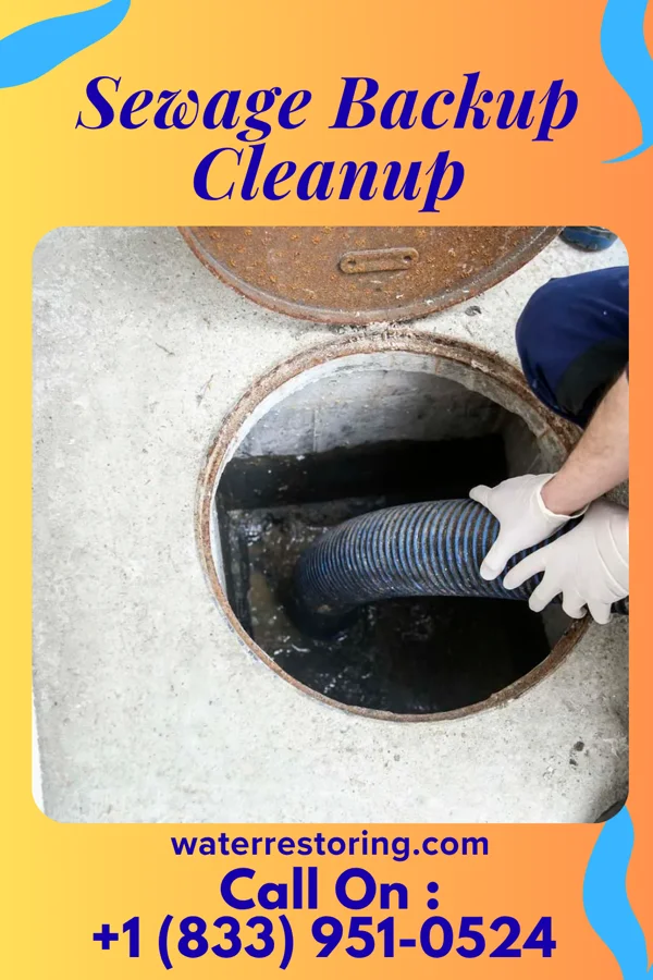 Sewage Backup Cleanup in Brainards, NJ
