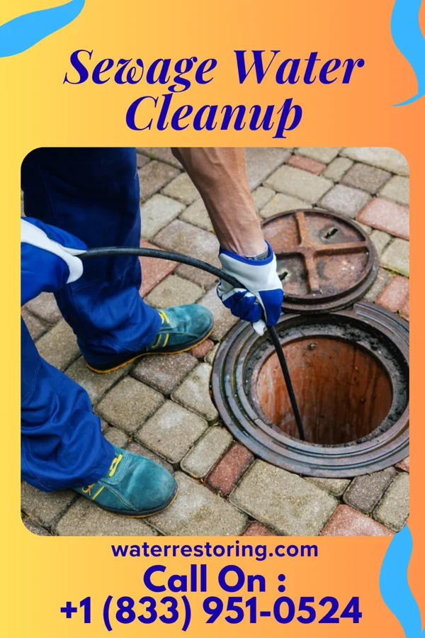 Sewage Water Cleanup in Brainards, NJ